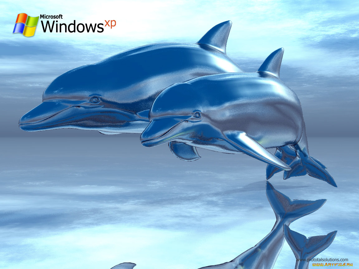, windows, xp